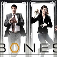 "Booth und Bones und das gebrochene Herz"